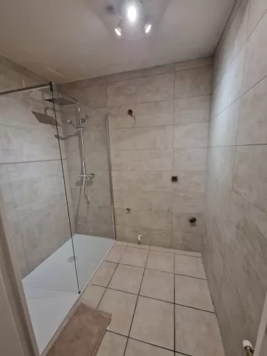 Rénovation d'une salle de bains et d'un WC à Villeurbanne, proximité de Vienne, Barbosa David Carrelages