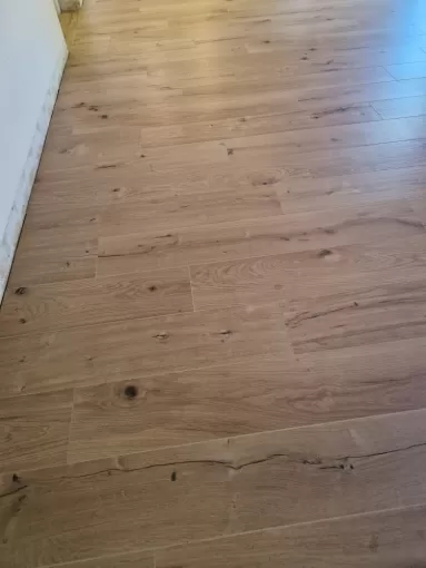 Création d'un studio avec carrelage imitation bois à Charantonnay, proximité de Vienne, Barbosa David Carrelages
