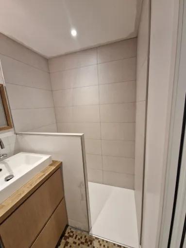 Rénovation coin douche dans une salle de bains à Villeurbanne, proximité de Vienne, Barbosa David Carrelages