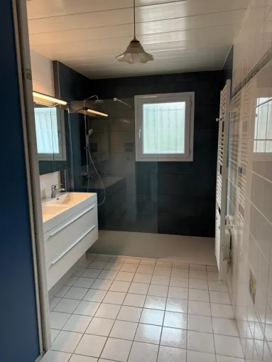 Rénovation coin douche dans salle de bains à Savas Mépin, proximité de Vienne, Barbosa David Carrelages