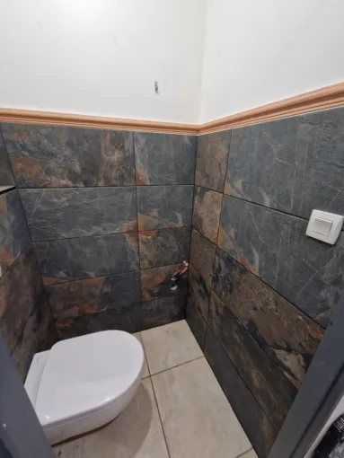 Rénovation d'un WC sur la commune de Grigny, proximité de Vienne, Barbosa David Carrelages