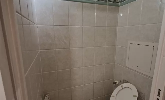 Rénovation d'une salle de bains et d'un WC à Villeurbanne, proximité de Vienne, Barbosa David Carrelages