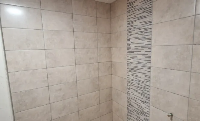 Rénovation WC PMR à Saint Jean de Bournay, proximité de Vienne, Barbosa David Carrelages