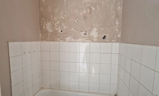 Réfection d'une salle de bains dans un appartement à Lyon 7, proximité de Vienne, Barbosa David Carrelages