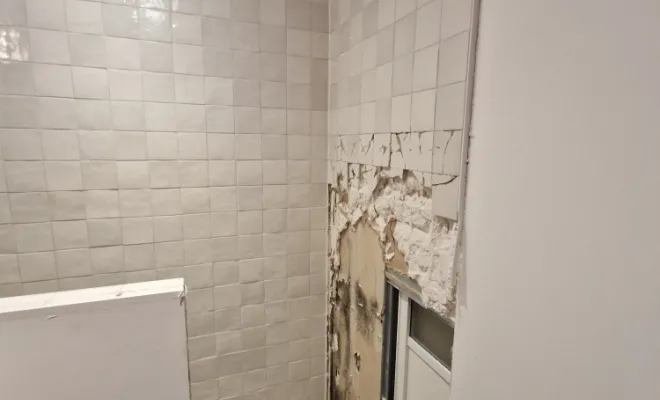 Rénovation coin douche dans une salle de bains à Villeurbanne, proximité de Vienne, Barbosa David Carrelages