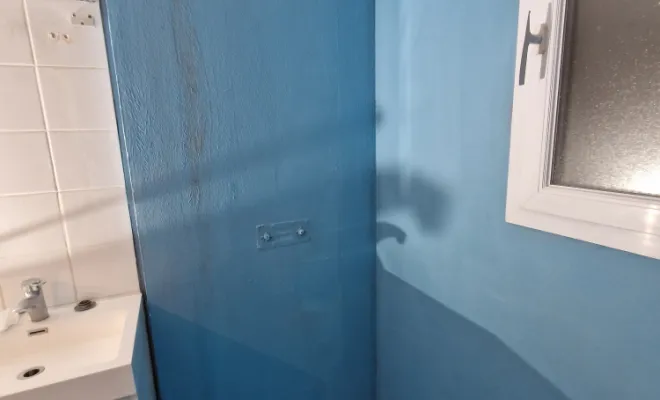 Rénovation coin douche dans salle de bains à Savas Mépin, proximité de Vienne, Barbosa David Carrelages