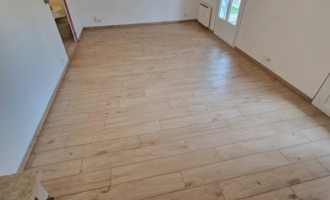 Rénovation salon/séjour à Heyrieux, proximité de Vienne, Barbosa David Carrelages